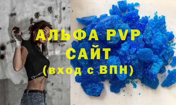 индика Аркадак