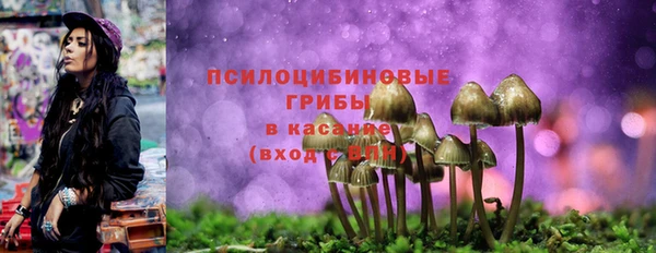 прущая мука Абаза