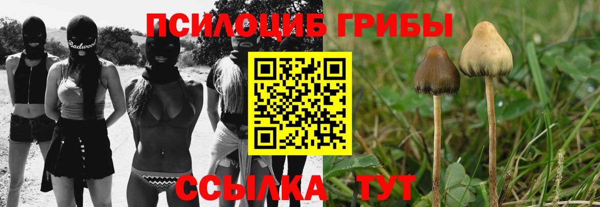 Псилоцибиновые грибы Cubensis  Галлюциногенные грибы прущие грибы  Вход с VPN  Северодвинск 